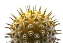 Ретровирус - какво е това?